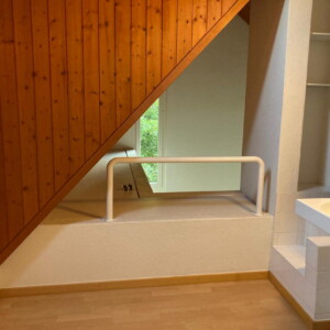 Absturzsicherungs-Handlauf bei Dachschlupf